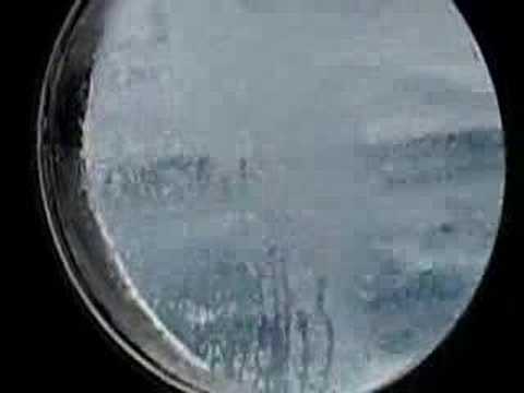 Drake Passage FEB 2007 To Cross the ...