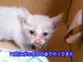 Elizabeth Became a Mother