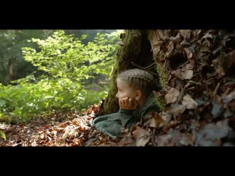 The Secret Forest of Slovenia