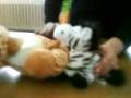 nilpferd, hund, zebra 'nd co @ mittagstisch2
