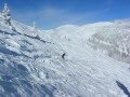 videos de Shell skiing