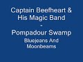Pompadour Swamp - Captain Beefheart & His Magic Band