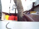 YOUGHAL  SHARK