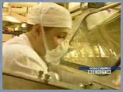 Nuclear fuel for Bushehr (Russian news)