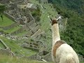 HD Video Volunteer Abroad Peru Machu Picchu Tour www.abroaderview.org http://www.youtube.com/watch?v=CF-V8_VjhN4