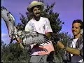 Hawkwatch Hawk-Kestral Release, Manzano Mountains, 1997 Hawkwatch Hawk-Kestral Release, Manzano Mountains, 1997