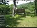 JT's A Grand Day Out in Yang Ming Shan 陽明山遊記