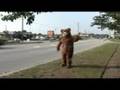 videos de Chelsea and the Bear
