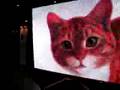 Two-way LED screen