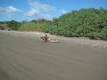 D+E riding on beach