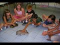 Video Tour of Placer SPCA Video Tour of Placer SPCA