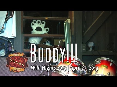 furry - It's time for the Furry Drama Show, starring Furry Drama! This is part 12/12, which contains the final video from Cerebus, a mini sword fight with a twist an...