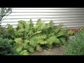 3681 Kennybrook Bluff