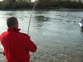 Pescuit la Salmon in Maple Ridge, BC.
