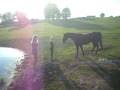 videos de Jultorp Ranch