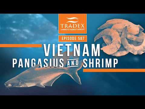 3MMI - Vietnam Pangasius & Shrimp Update: Exports on the Rise