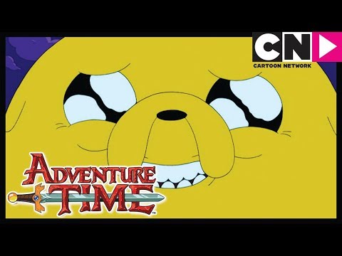 Adventure Time | Jake The Dog | Cartoon Network