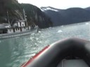 Cruising Endicott Arm from the MV CATALYST Cruising Endicott Arm from the MV CATALYST
