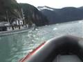 Cruising Endicott Arm from the MV CATALYST