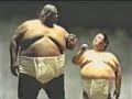 sumo fight