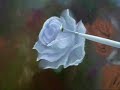 PINTANDO ROSA AULAS COM MANECO ARAÚJO parte 1 e 2 PINTANDO ROSA AULAS COM MANECO ARAÚJO parte 1 e 2