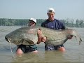 Oddities of the World - Cryptozoology & UFOs