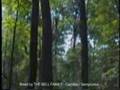 CAMILLUS FOREST UNIQUE AREA