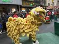 NYULDDT lion dance performance in chinatown new york NYULDDT lion dance performance in chinatown new york