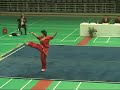 ０８年　長拳１　（长拳）chang quan  wushu kungfu