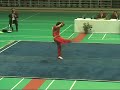 ????????????chang quan wushu kungfu ????????????chang quan wushu kungfu