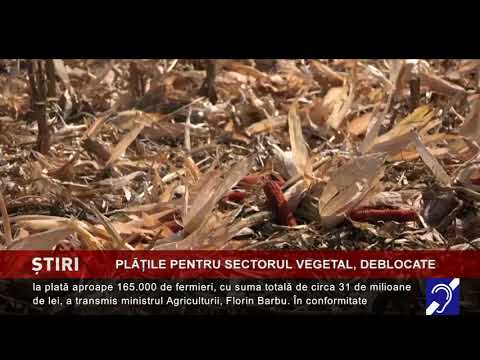 Plățile pentru sectorul vegetal, deblocate