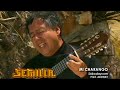 MI CHARANGO-(huayño)- ALEJANDRO CAMARA Y EL GRUPO SEMILLA