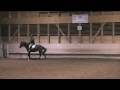 videos de Buckeln
