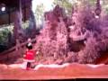 videos de Mickey and Minnie Skating