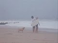 Puggle Nacho DESPISES Skimboarding