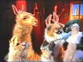 La llama que llama 13 - Poncho