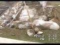 Click here to watch this video 不良おやじ ヒエロポリス遺跡
