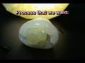 Rambutan