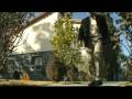 Prominent Afghan TV star flees the country - 20 Mar 09