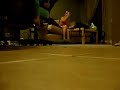 Cat Crash Camera