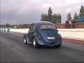 vw bug