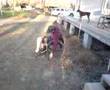 Wheelchair King