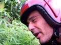 QUE VIVA LA MARIGUANA QUE VIVA LA MARIGUANA