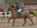 my horse... my angel
