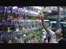 Hong Kong ,Tung choi street 02