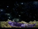 The Forbidden Forest Video