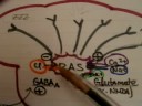 CNS Pharmacology Introduction CNS Pharmacology Introduction