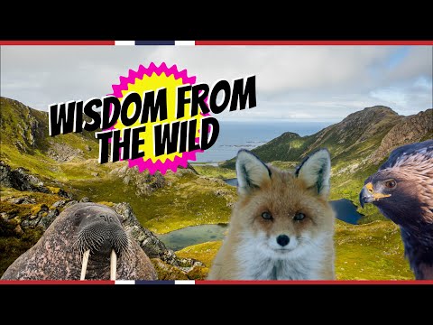 Meet the talking Animals from NORWAY