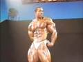 flex-wheeler-1996-ar