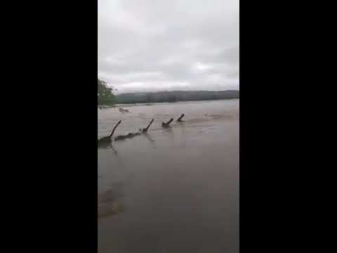 Rio Taperoá com enchente histórica , que não se via a mais de 20 anos .13-04-17